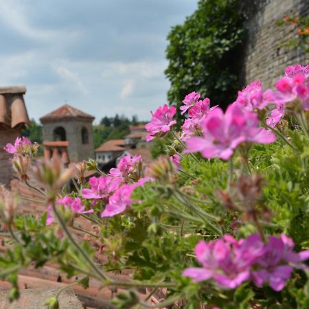 Dimora Storico Romantica Il Sole E La Luna 세레토 랑게 외부 사진